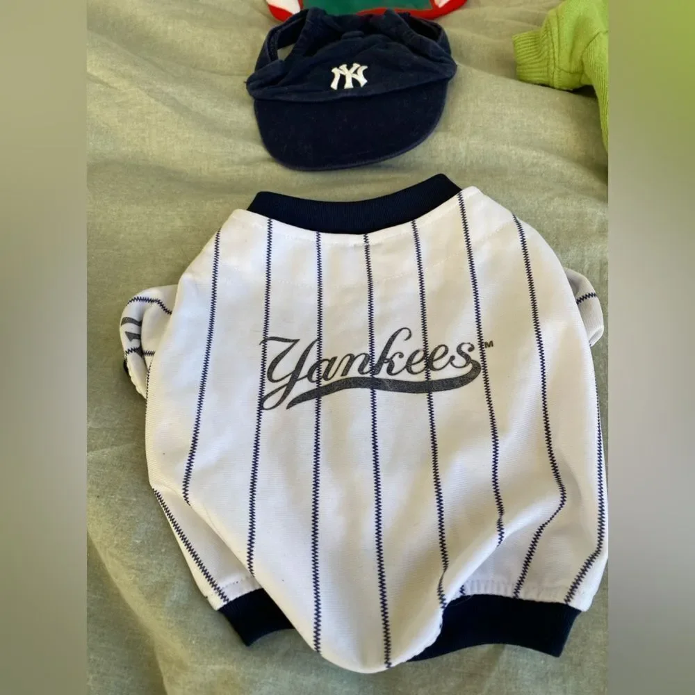 Set of Small Dog/Cat Costumes & Outfits